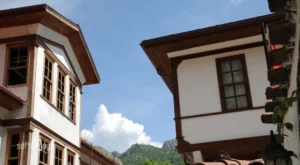 Performans ve SEO İçin Görsel Optimizasyonu Rehberi